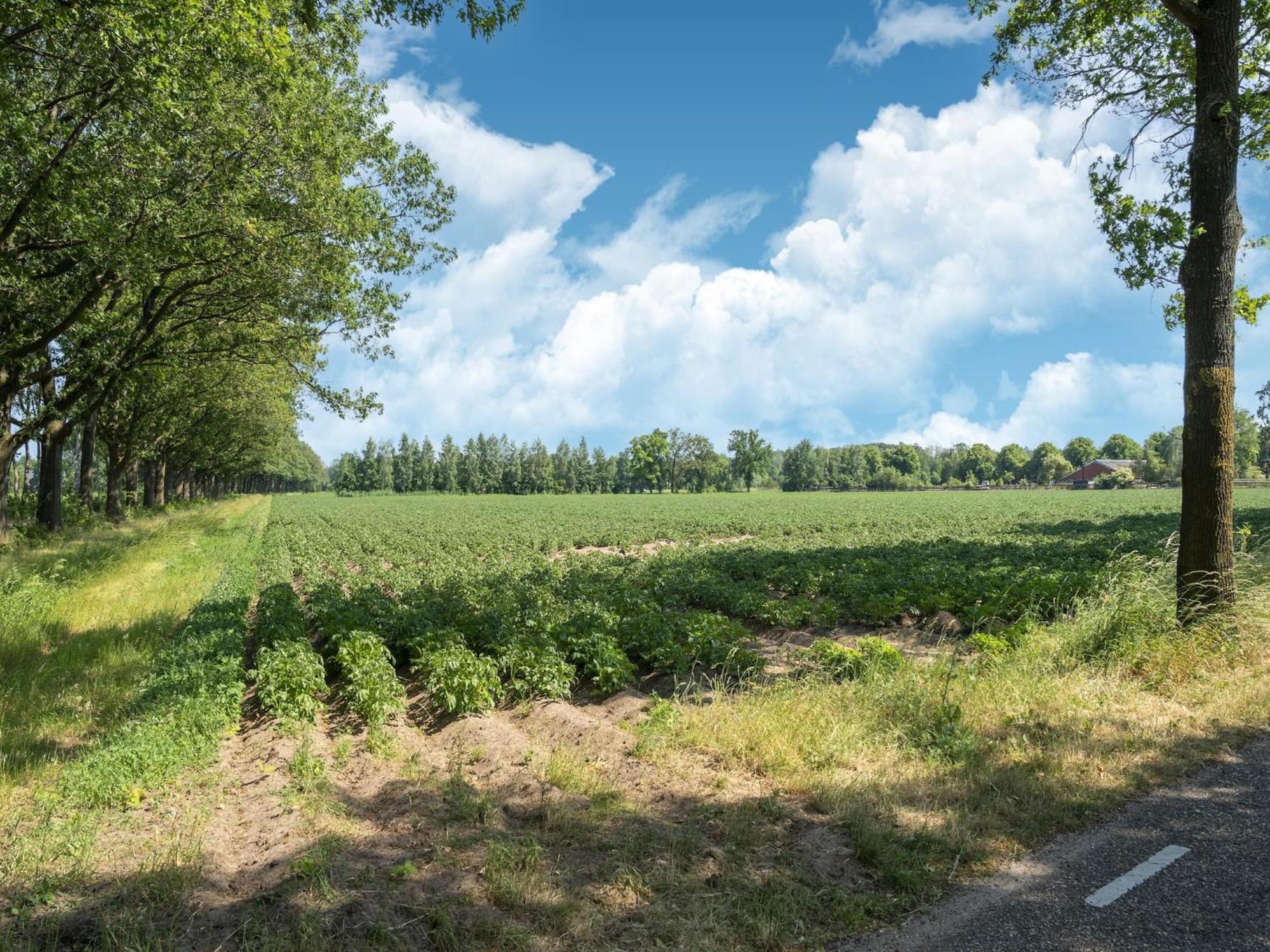 House With A Large Garden In Achterhoek Eibergen エクステリア 写真